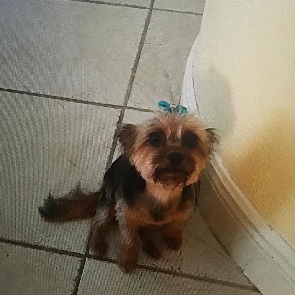 Meet your Posher, Marcelle